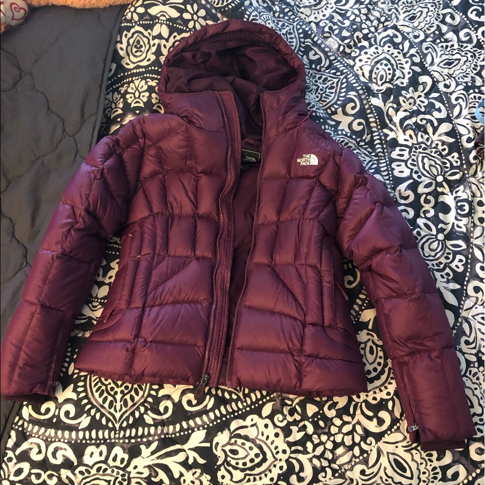 North Face Down Winter Jacket - image 1
